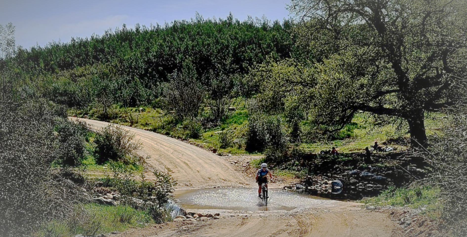 Fietsryer_Driffie_05.jpg Fietsryer_Driffie_05.jpg