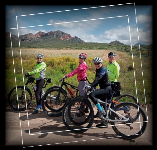 Fietsryers_Web