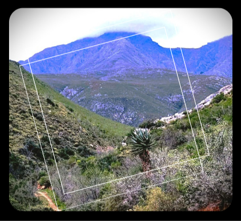 Swartberg_Button